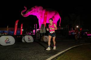 BIB: 
                            <button type="button" onclick="openModal(26534395)" class="btn btn-primary btn-sm float-right btn-popup" data-toggle="modal" data-target=".modal-high-quality">
                        <i class="fas fa-shopping-cart"></i> Add to Cart
                    </button>
                                            <button type="button" onclick="isThisMe(26534395, true)" class="btn btn-success btn-sm float-right btn-popup btn-isme hidden" data-toggle="tooltip" data-placement="bottom" title="นี่คือรูปของคุณใช่ไหม คลิกที่นี่เพื่อเอาเข้าอัลบั้ม">
                        <i class="fas fa-plus"></i> Add to album
                    </button>
                    <button type="button" onclick="isThisMe(26534395, false)" class="btn btn-warning btn-sm float-right btn-popup btn-isnotme hidden">
                        <i class="fas fa-ban"></i> Remove from album
                    </button>